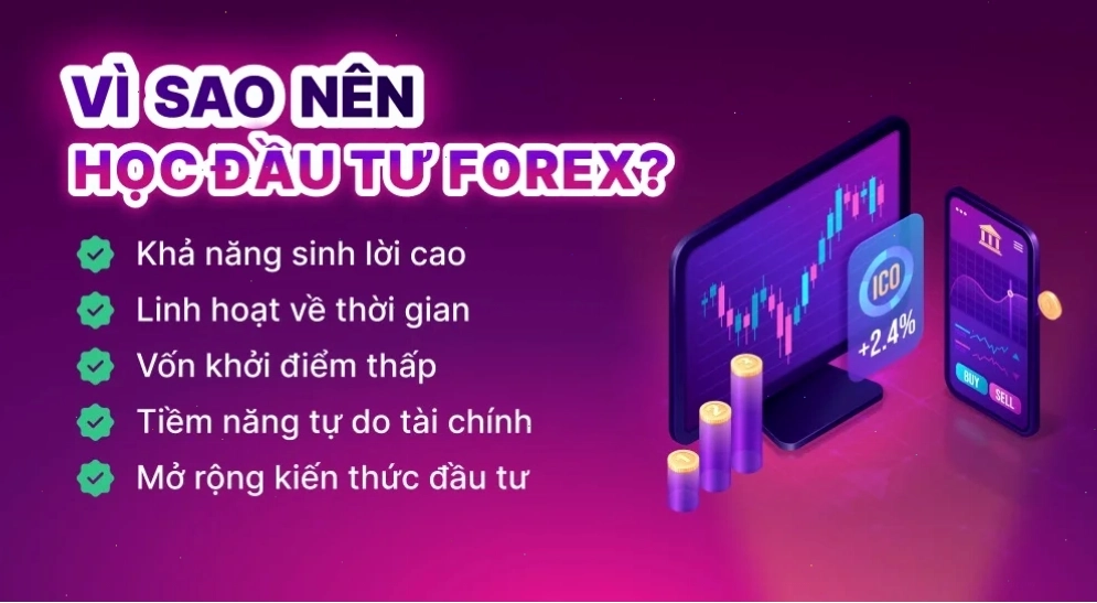 Người mới học forex cho người mới bắt đầu với sự bối rối