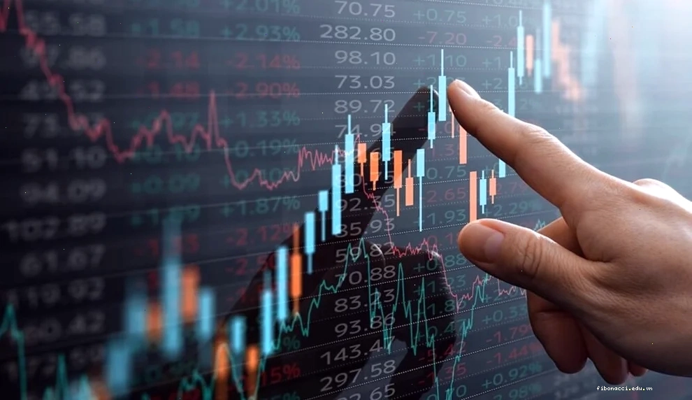Người xem báo cáo tài chính của công ty