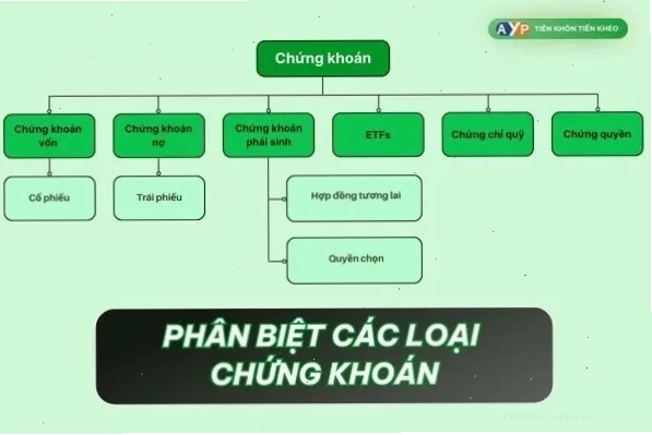 Nhà đầu tư đang phân tích biểu đồ chứng khoán