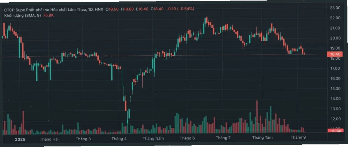 Nhà đầu tư đang xem biểu đồ chứng khoán