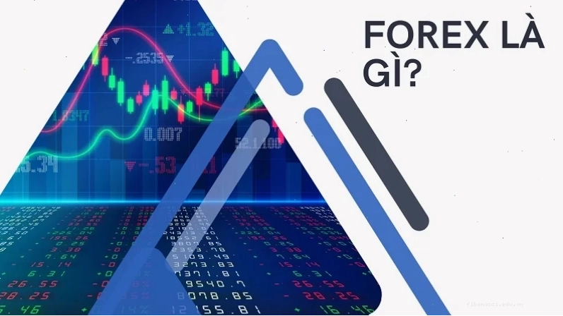 Nhà đầu tư theo dõi biểu đồ Chơi forex là gì trên máy tính