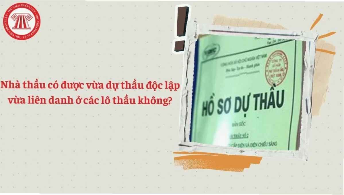 Nhà thầu dự thầu độc lập hay liên danh