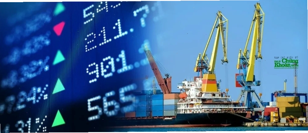 Phân tích các chỉ số tài chính của cổ phiếu logistics