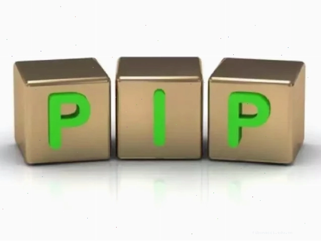 Pip trong forex là gì và cách tính giá trị