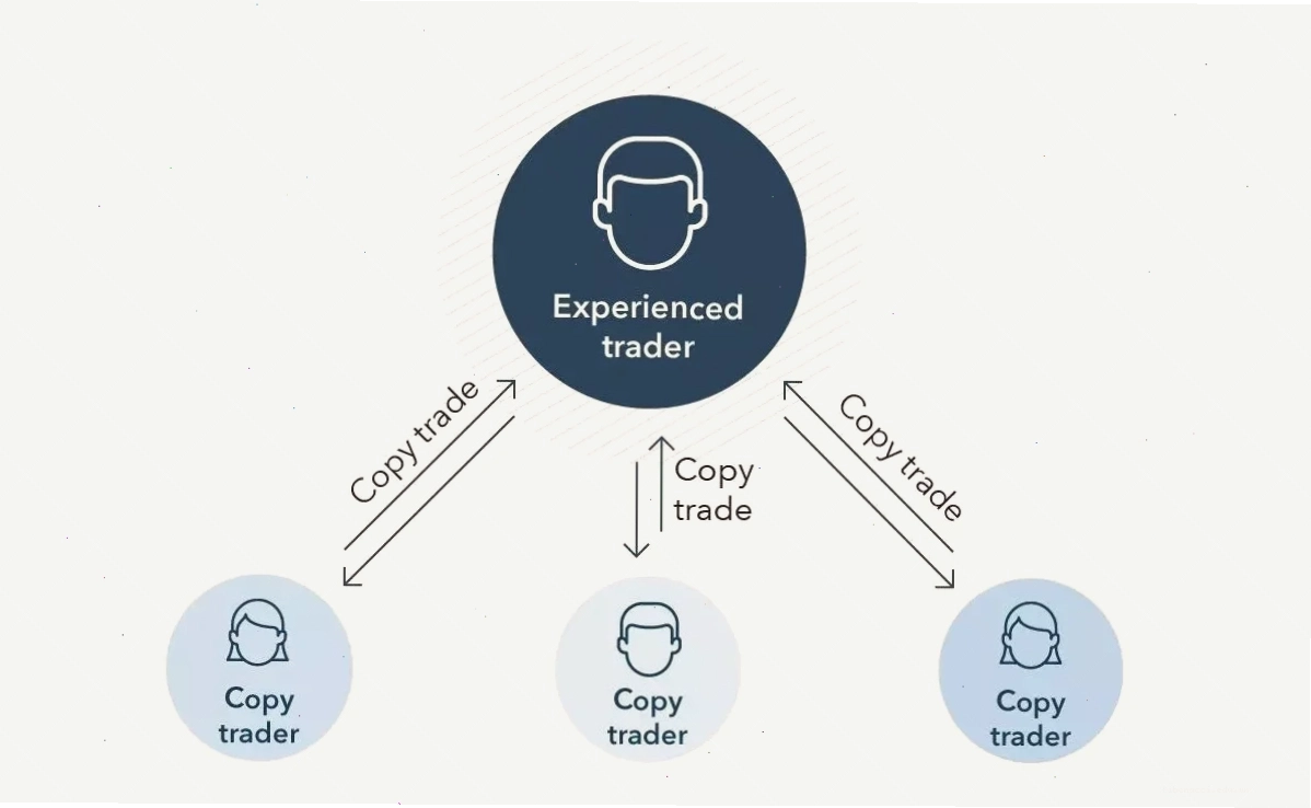 Quy trình copy trade forex đơn giản hóa