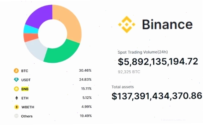 Tài sản và phân bổ token của sàn Binance - TOPI