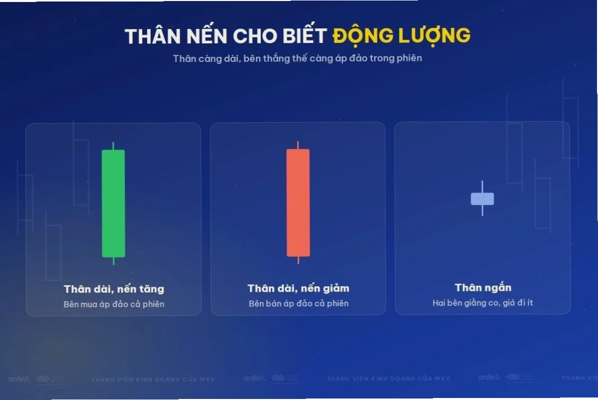 Thân nến dài và thân nến ngắn