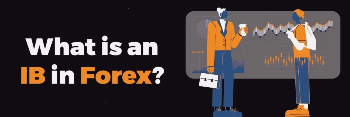 Tố chất cần có của IB Forex