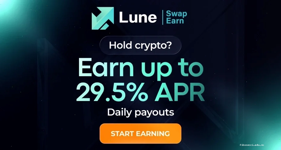 Vốn hoá thị trường coin và sự biến động