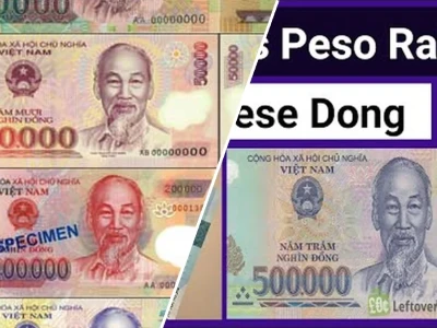 1 Peso Philippines To VND Tỷ Giá Bao Nhiêu 2026 Chuyển Đổi Chính Xác Nhất