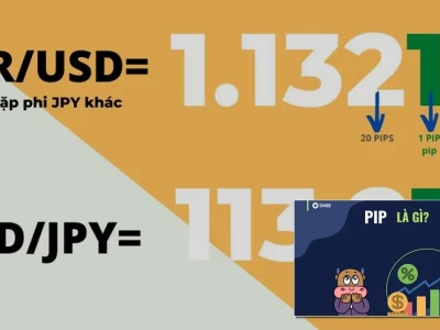 1 Pip Là Bao Nhiêu? Hé Lộ Bí Mật Đằng Sau Đơn Vị Đo Lường Giao Dịch