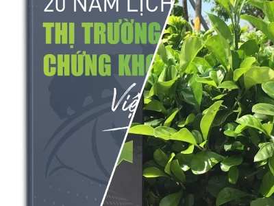 20 Năm Lịch Sử Thị Trường Chứng Khoán Việt Nam: Bước Chân Gai Góc Vào Tương Lai?