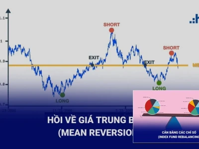 Algo trading là gì? Lật Tẩy Sự Thật Cay Đắng Đằng Sau Giao Dịch Thuật Toán