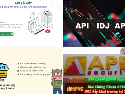 API Chứng Khoán 2026: Hướng Dẫn Toàn Diện Hay Chỉ Là Lời Hứa Suông?