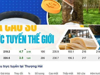 Bảng Giá Cao Su Trực Tuyến 2026: Tiềm Năng Tăng Trưởng Hay Cạm Bẫy? Phân Tích Sâu