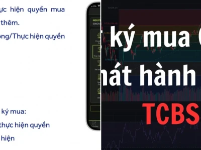 Bí mật Cách mua cổ phiếu phát hành thêm: Lợi nhuận khủng hay cạm bẫy?