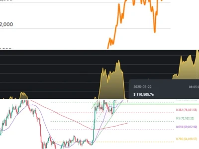 Biểu đồ giá BTC 2026: Phân tích chuyên sâu vùng 80.000 USD và những cảnh báo gai góc