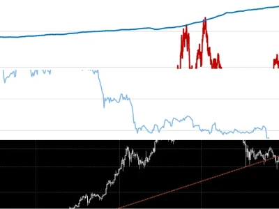 Bitcoin USD Price: Đằng Sau Những Biến Động Khó Lường?