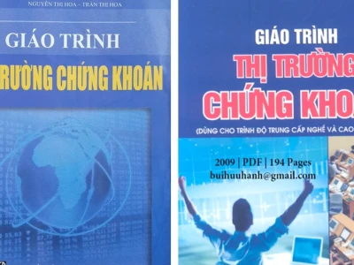 Bóc Trần Giáo Trình Thị Trường Chứng Khoán PDF: Thực Tế Hay Ảo Tưởng?