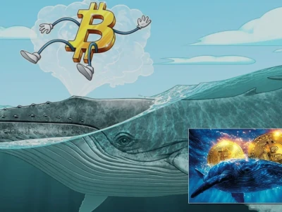 Cá Voi Bitcoin Thức Giấc: Liệu Thị Trường Tiền Số Sắp Rung Chuyển?