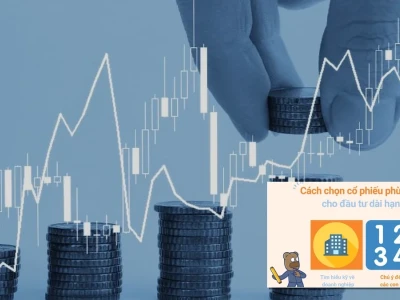 Cách đầu tư cổ phiếu dài hạn Đánh bại lạm phát và tạo tài sản khổng lồ