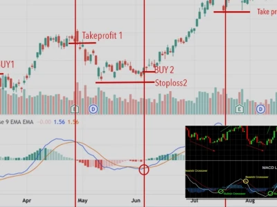 Cách Sử Dụng MACD: Chìa Khóa Lợi Nhuận Hay Cạm Bẫy Nhà Đầu Tư?