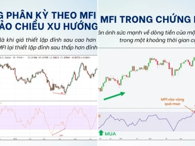 Chỉ Số MFI Trong Chứng Khoán: Vũ Khí Bí Mật Hay Mánh Lới Lùa Gà?