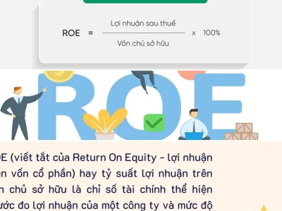 Chỉ Số ROE Nói Lên Điều Gì? Phân Tích Gai Góc & Số Liệu Thực Tế