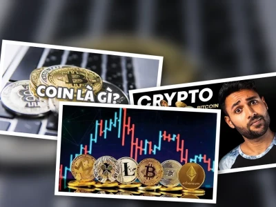Chơi Coin Là Gì Khám Phá Góc Nhìn Gai Góc Của Chuyên Gia
