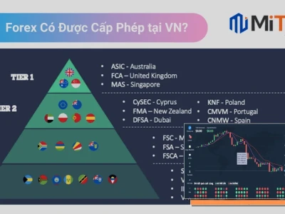 Chơi Forex Sàn Nào? Cảnh Báo Sập Bẫy Lừa Đảo 2026