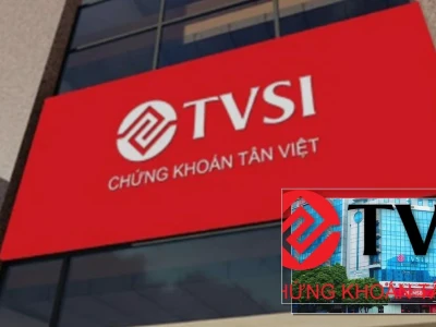 Chứng Khoán Tân Việt: Từ FWD đến "Mỏ Vàng" Bất Động Sản?