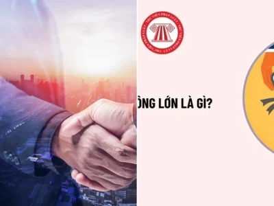 Cổ đông lớn là gì Bóc trần quyền lực và trách nhiệm