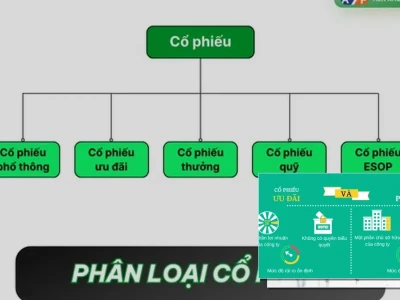 Có Mấy Loại Cổ Phiếu Thật Sự Một Chuyên Gia Phản Biện Phân Tích