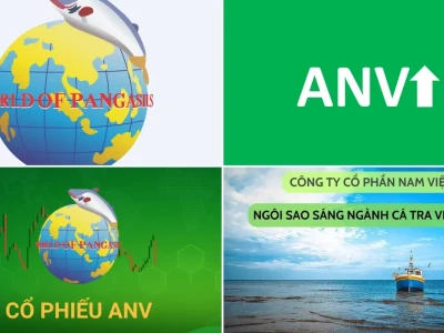 Cổ phiếu ANV 2026: Giấc mơ hay Ác mộng Đầu tư?