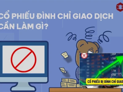 Cổ phiếu bị đình chỉ giao dịch có sao không? Phân tích sâu quyền lợi nhà đầu tư 2026