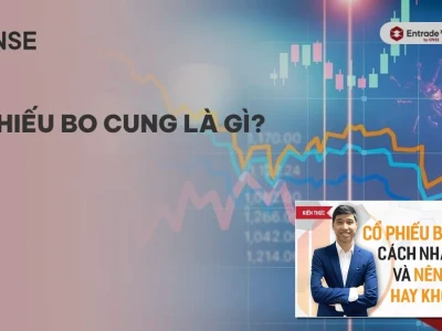 Cổ Phiếu Bo Cung Là Gì? Phanh Phui Thực Tế Đằng Sau