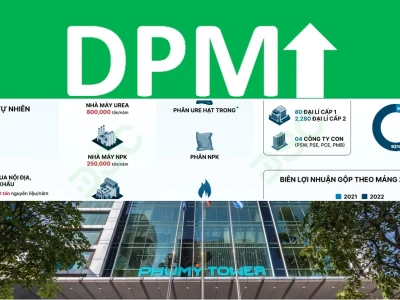 Cổ phiếu DPM: Phân tích Chuyên sâu và Định hướng Đầu tư 2026