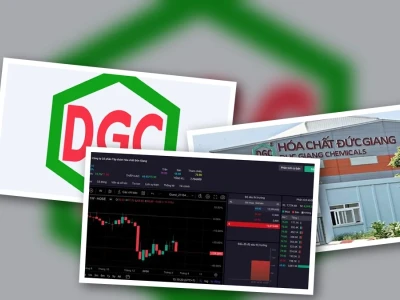 Cổ phiếu Đức Giang: Bức tranh đa chiều và những cảnh báo 'xương sống'