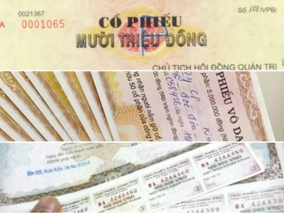 Cổ Phiếu Giấy: Ngành Lĩnh Giấy & Lâm Sản Báo Động Đầu Tư 2026