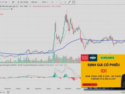 Cổ Phiếu IDI: Lời Nguyền Hay Cơ Hội Đầu Tư Năm 2026?