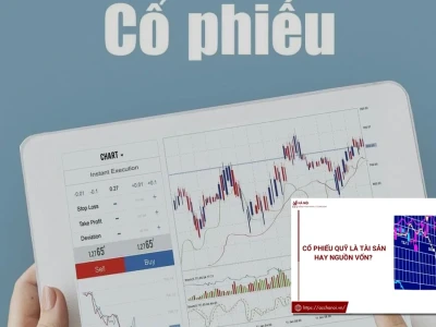 Cổ phiếu là tài sản hay nguồn vốn Ai cũng nhầm lẫn!