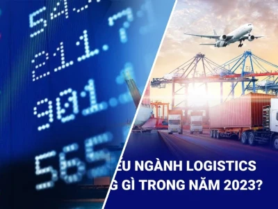 Cổ phiếu Logistics: Cơ hội vàng hay Bẫy rủi ro trong năm 2026?