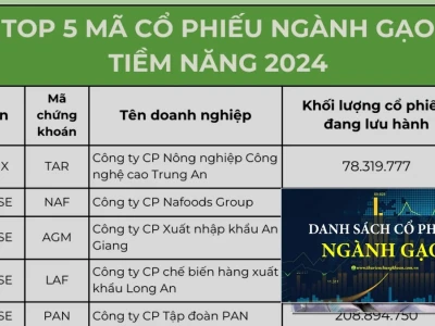 Cổ Phiếu Ngành Gạo 2026: Cơ Hội Hay Bẫy Đầu Tư Cần Cảnh Giác