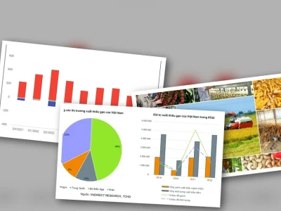 Cổ Phiếu Ngành Lương Thực: Lợi Thế Phòng Thủ Hay Bẫy Đầu Tư 2026?