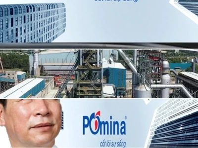 Cổ phiếu POM: Lời Nguyền Hạn Chế Giao Dịch Hay Cơ Hội Tái Sinh?