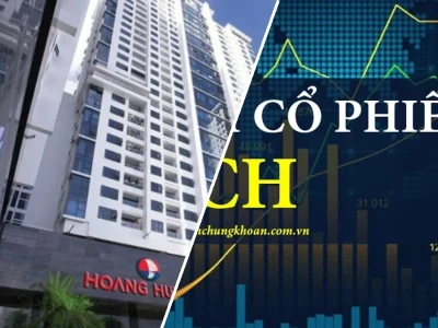 Cổ phiếu TCH: Điểm tựa hay dấu chấm hỏi cho nhà đầu tư 2026?