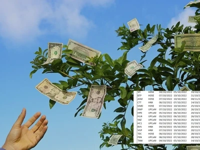 Cổ Phiếu Trả Cổ Tức Cao Tiền Dưỡng Hay Bẫy Đầu Tư?