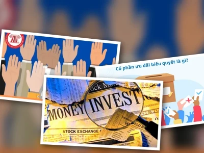 Cổ Phiếu Ưu Đãi Biểu Quyết Bí Ẩn: Phân Tích Sâu Hay Lãng Phí?