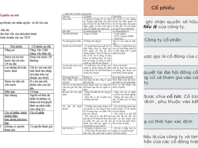 Cổ phiếu và Trái phiếu Đâu là Chân Ái Của Nhà Đầu Tư?