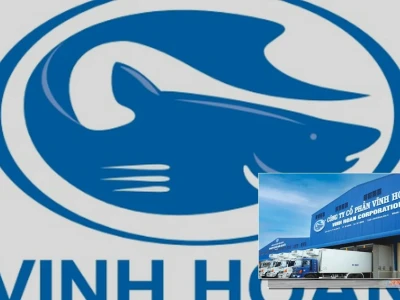 Cổ Phiếu VHC: Bức Tranh Toàn Cảnh Và Những Góc Nhìn Tranh Cãi